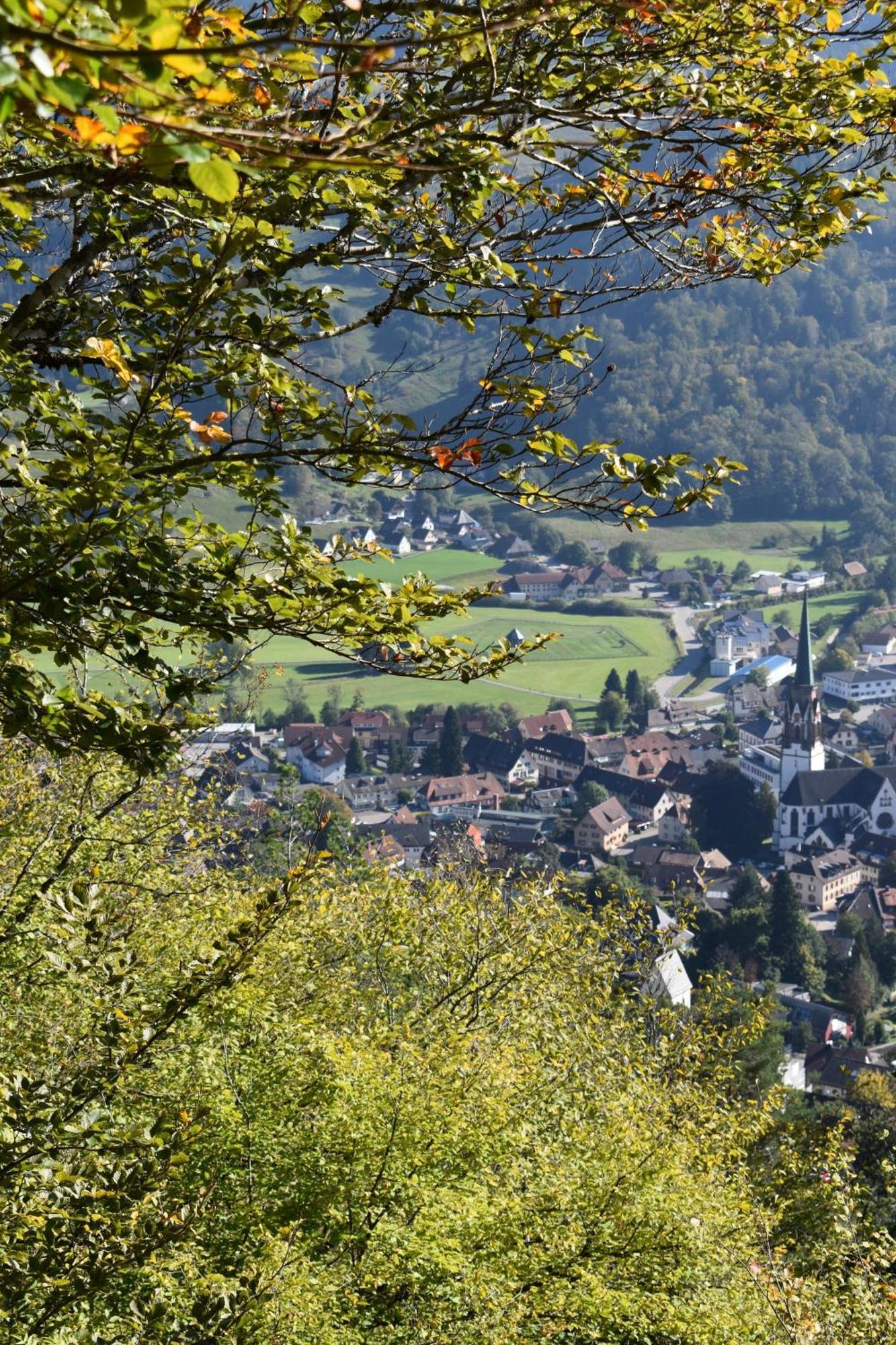 Gartenferienhaus "Annaluise" Schönau im Schwarzwald Eksteriør bilde