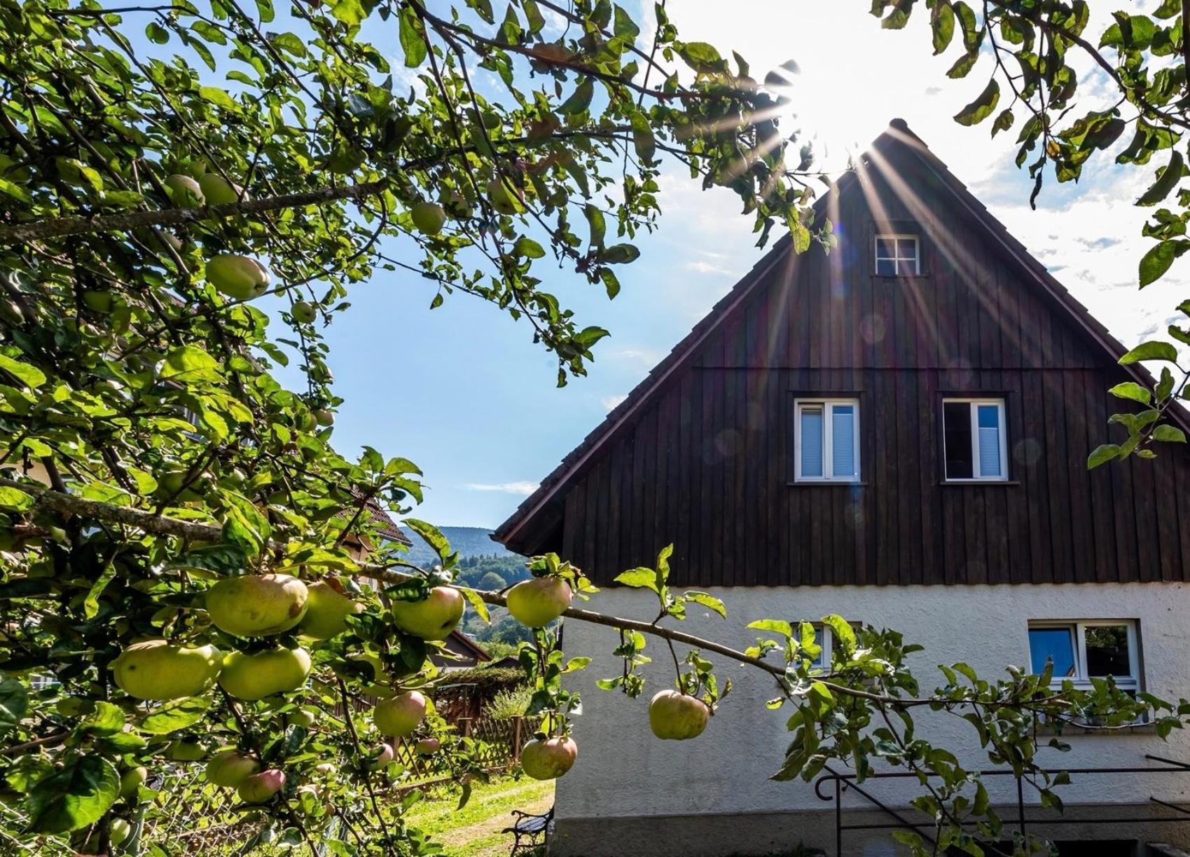 Gartenferienhaus "Annaluise" Schönau im Schwarzwald Eksteriør bilde