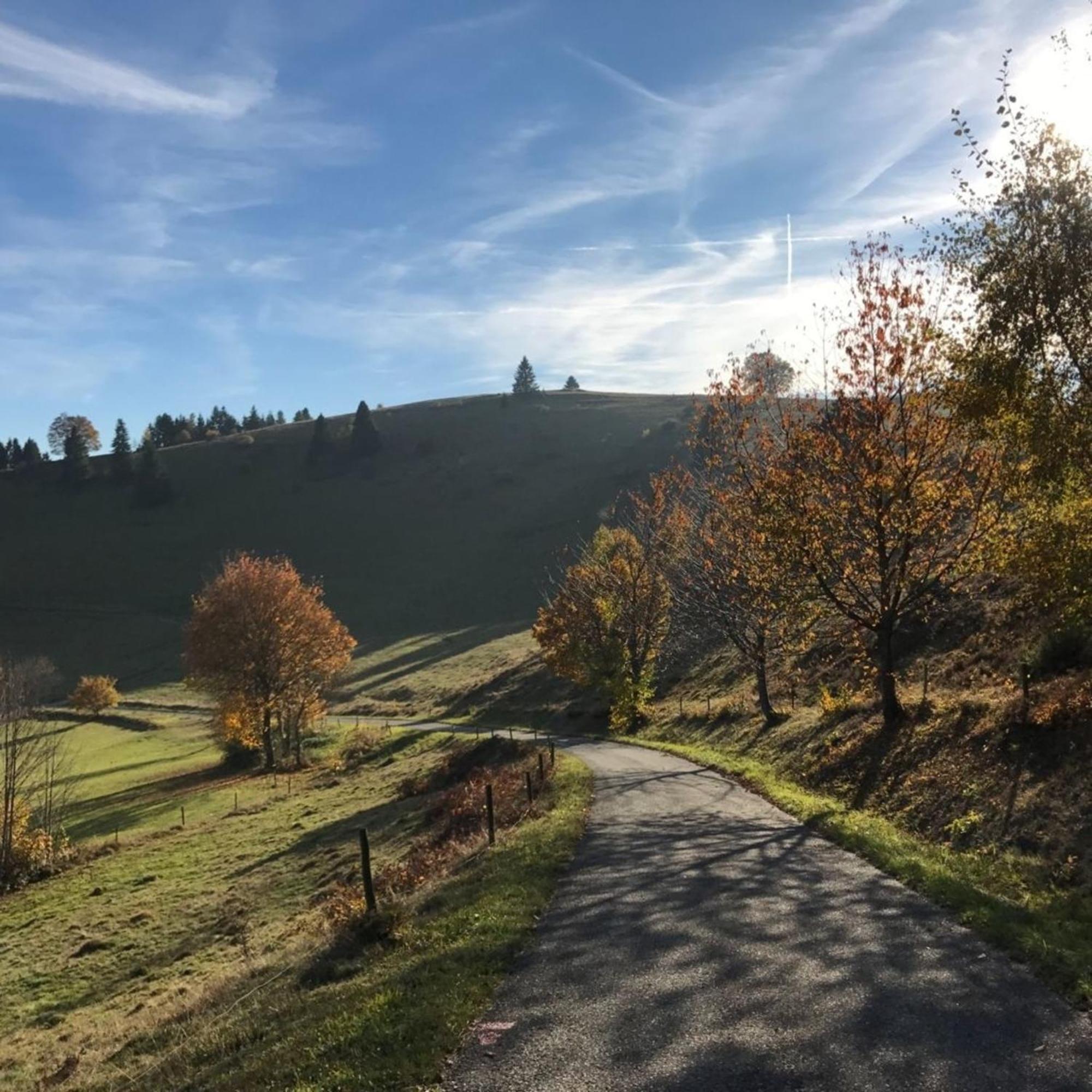 Gartenferienhaus "Annaluise" Schönau im Schwarzwald Eksteriør bilde